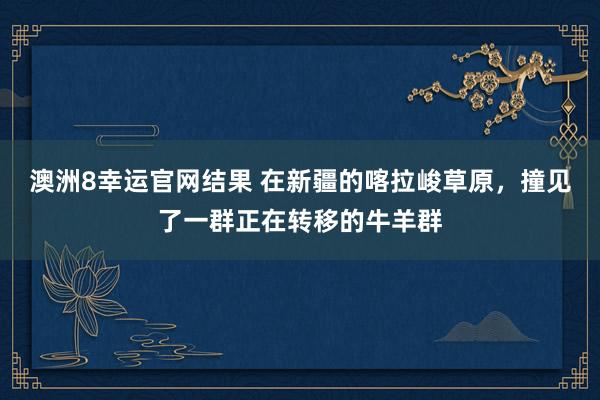 澳洲8幸运官网结果 在新疆的喀拉峻草原，撞见了一群正在转移的牛羊群