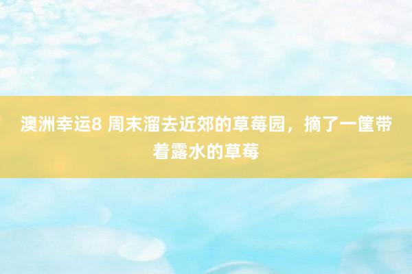 澳洲幸运8 周末溜去近郊的草莓园，摘了一筐带着露水的草莓